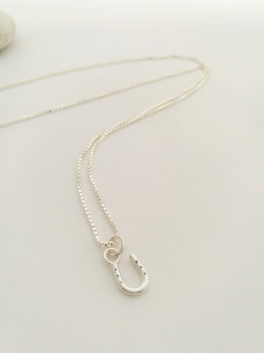 Horseshoe Necklace