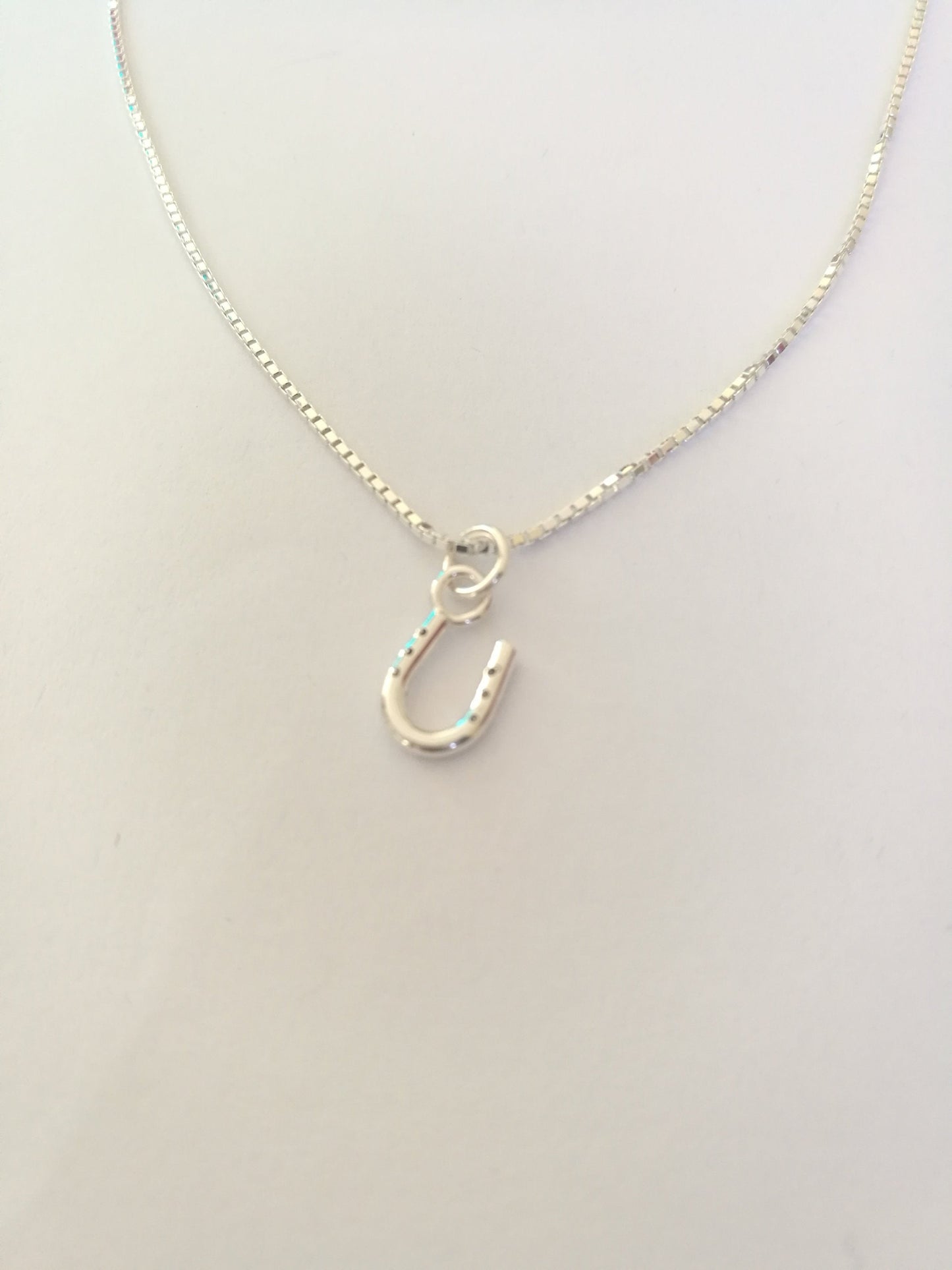 Horseshoe Necklace